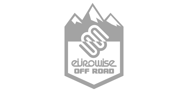 Eurowise Logo